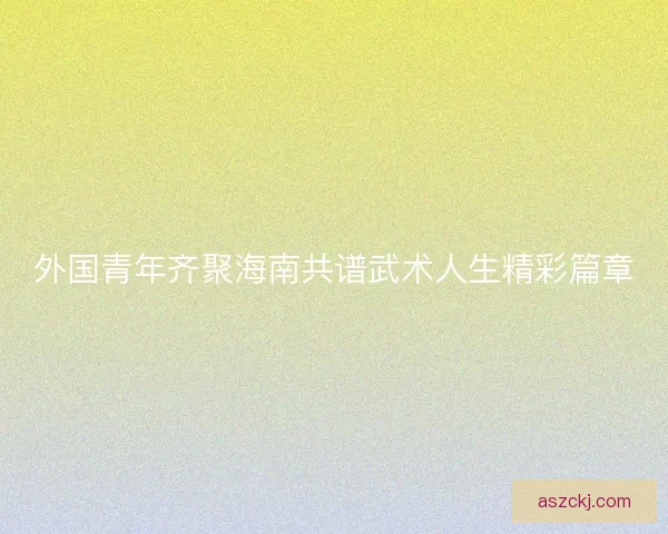 外国青年齐聚海南共谱武术人生精彩篇章